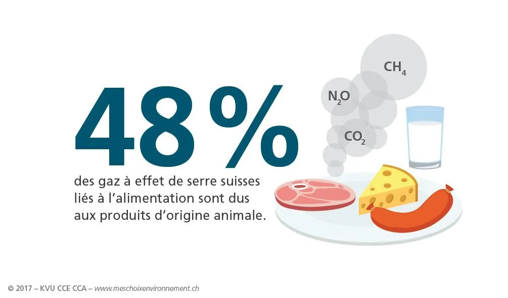 Actions écologique 