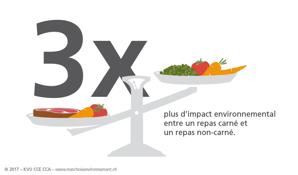 Actions écologique 