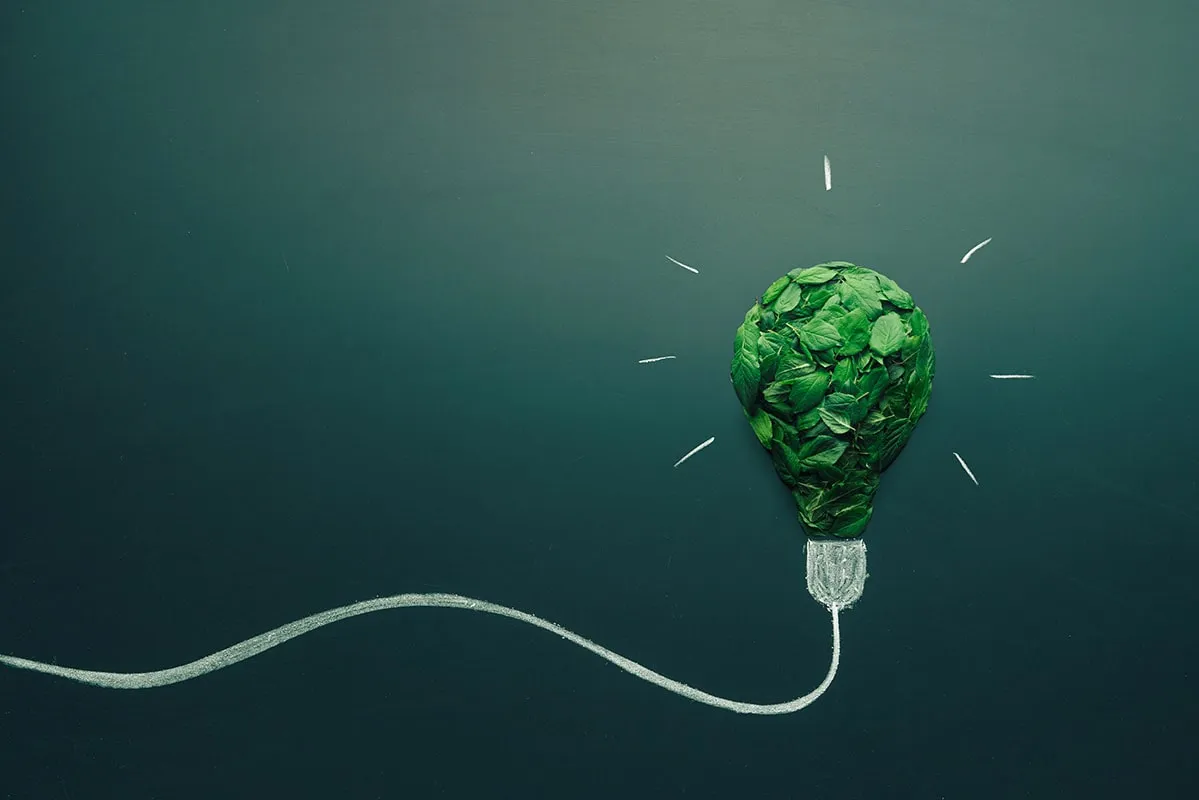 Ampoule en feuilles