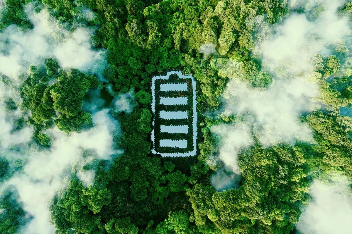 Forêt et batterie